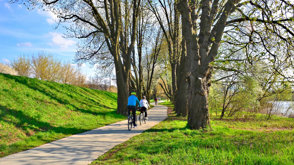 Najdłuższy szlak rowerowy w Polsce ma aż 2 tys. km