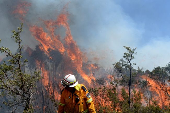 Gigantyczne pożary w Australii. Żywioł może zagrozić Sydney