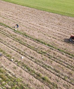 Trwają kontrole na wsiach. Co sprawdzają inspektorzy?