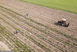 Trwają kontrole na wsiach. Co sprawdzają inspektorzy?