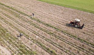 Trwają kontrole na wsiach. Co sprawdzają inspektorzy?