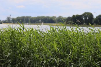 Las, woda, cisza. Sprawdź najlepsze miejsca na relaks w woj. łódzkim