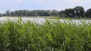Las, woda, cisza. Sprawdź najlepsze miejsca na relaks w woj. łódzkim