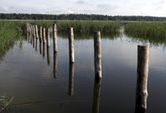 Mazury cud natury - tak je widzieli poeci, prozaicy i tekściarze