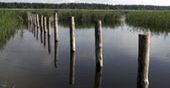 Mazury cud natury - tak je widzieli poeci, prozaicy i tekściarze