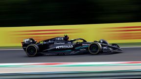 Hamilton brutalnie sprowadzony na ziemię. Nie ukrywał rozczarowania