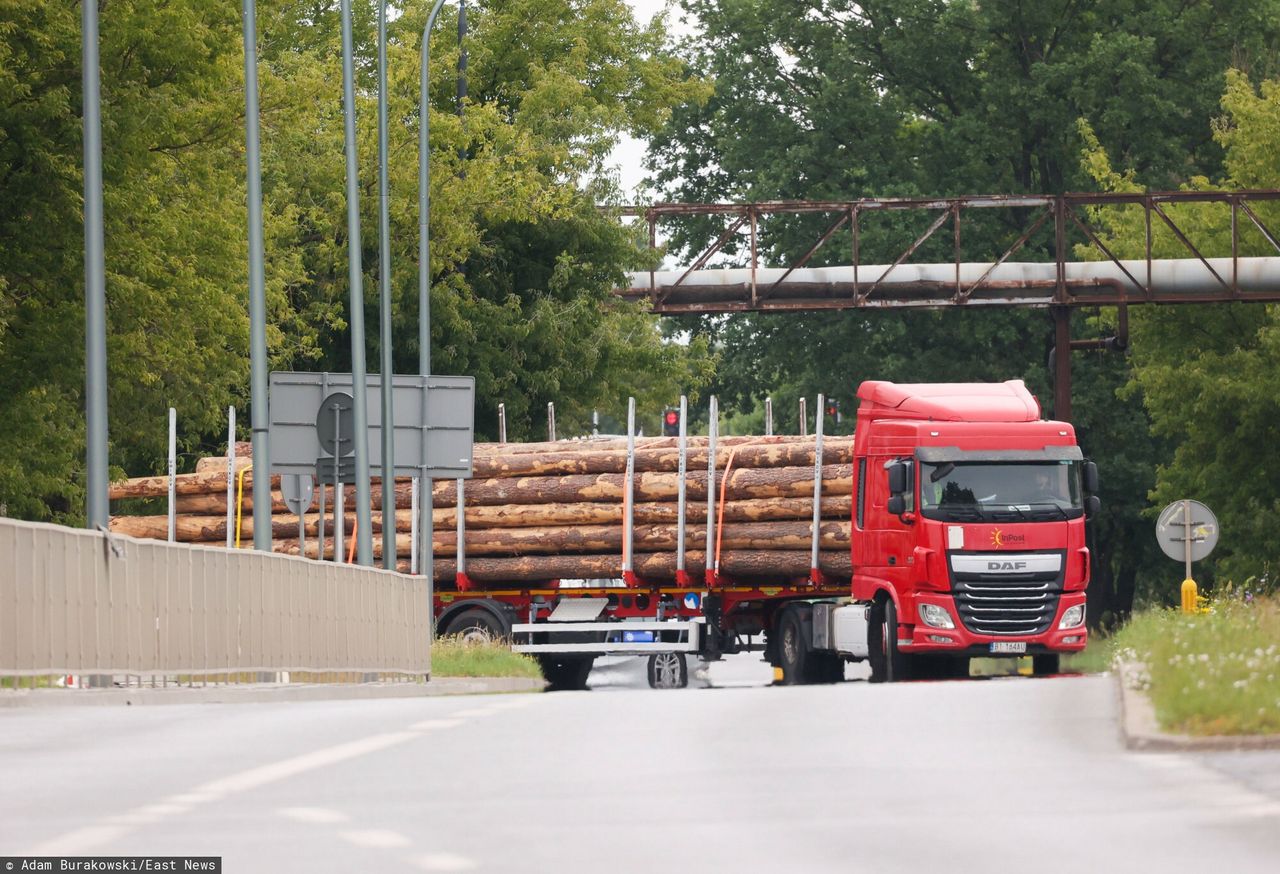 "Tysiące firm mogą upaść". Branża bije na alarm