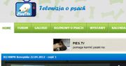 Pies.TV - czworonogi z parciem na szkło