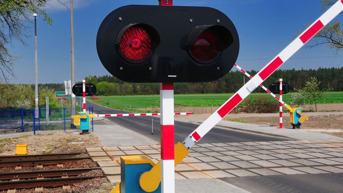 Zdjęcie ilustracyjne do artykułu