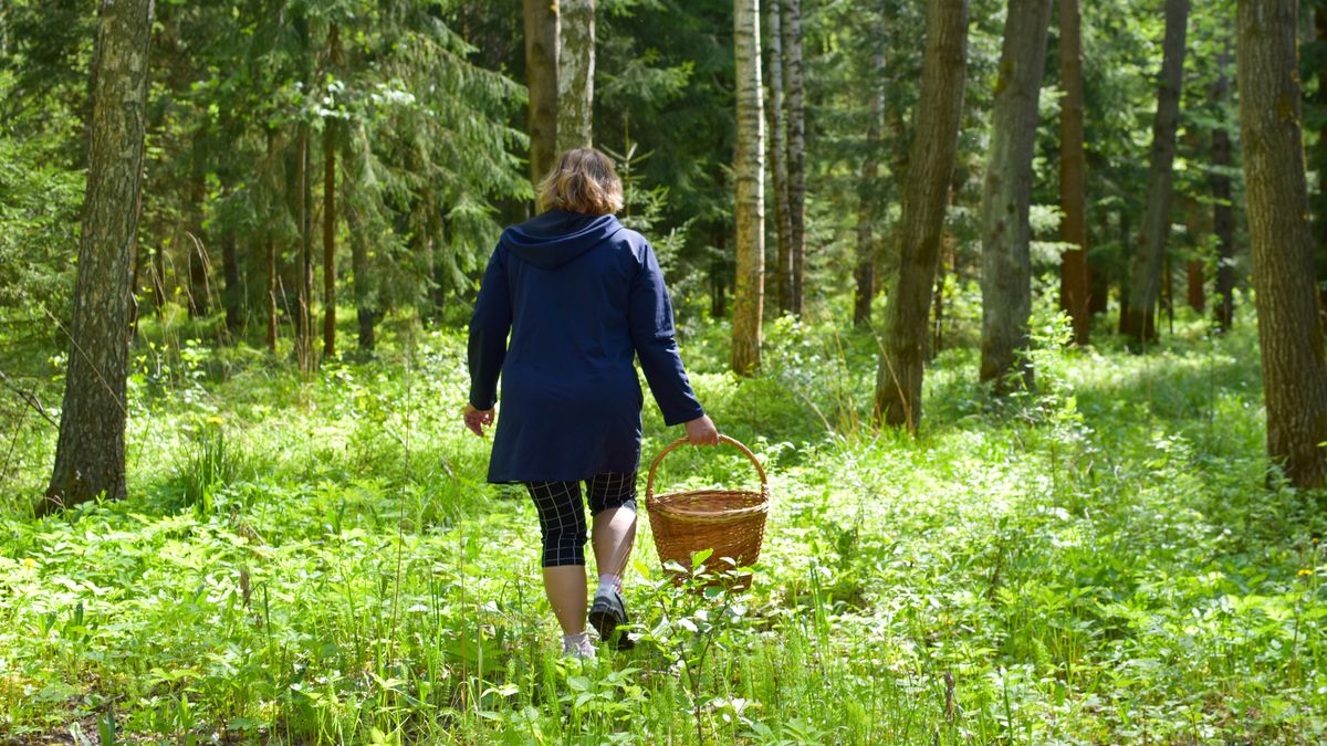 Zdjęcie ilustracyjne