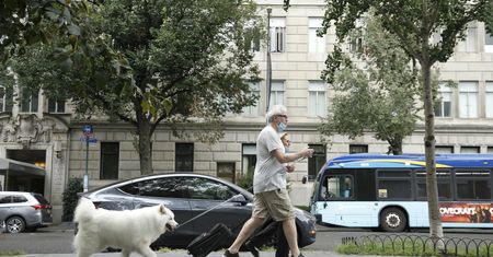 Niemcy. Nowe przepisy dla właścicieli psów. Spacer dwa razy dziennie, przez minimum godzinę