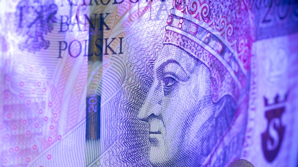 Polish zloty currency money bills are seen in this illustration photo on 15 November, 2023. (Photo by Jaap Arriens/NurPhoto via Getty Images)