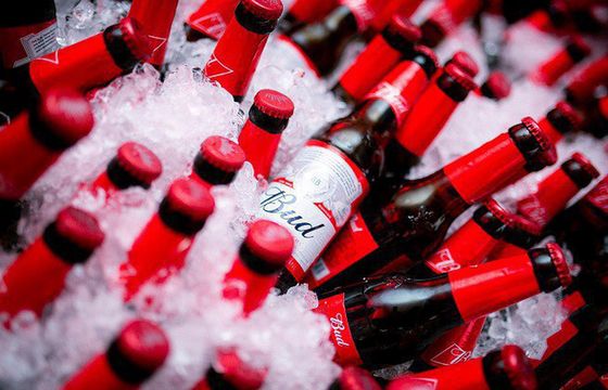 Piwo Bud wchodzi do sprzedaży w Polsce, kampania oparta na eventach