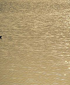 Papierkowa robota nad jeziorem