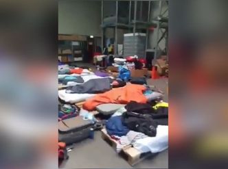 "Gorzej niż bydło". Polacy w Holandii spali w magazynie. Za łóżka służyły... palety
