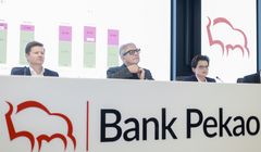 Żubr może zniknąć z logo Banku Pekao. Barbara Mróz-Gorgoń pracowała nad rebrandingiem