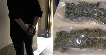 Zamiast kota, narkotyki w transporterze. Kobiecie grozi 12 lat więzienia