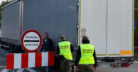 21 ton jeżyn z Serbii zatrzymanych na granicy. "Owoce miały larwy"