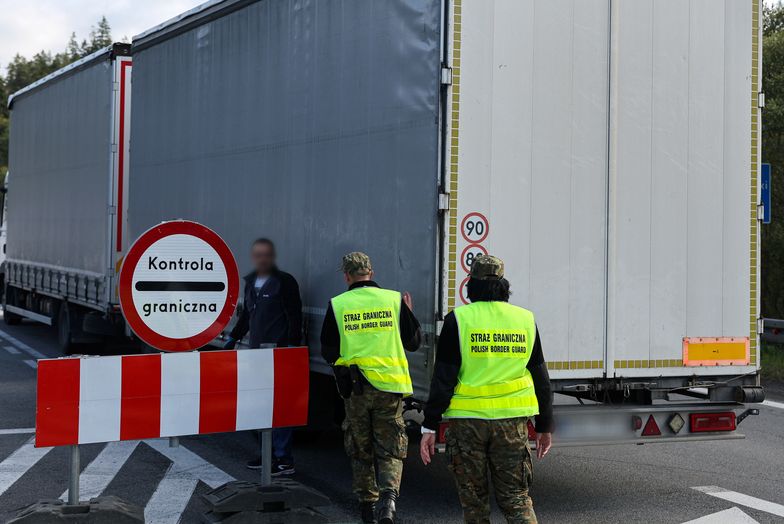 21 ton jeżyn z Serbii zatrzymanych na granicy. "Owoce miały larwy"