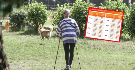 Te inne emerytury. Projekty są w Sejmie. Ile mogą wynieść świadczenia?