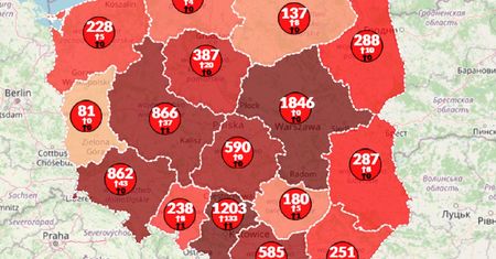 Koronawirus w Polsce. Liczba zarażonych przekroczyła 8 tysięcy. Sprawdź aktualne dane [Mapa]