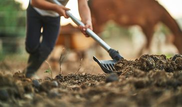 USA: Przekręt stulecia z obornikiem. Mężczyzna ukradł 9 mln dolarów