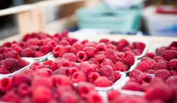 Ceny malin. Głodowe stawki dla producentów. Czy klienci zapłacą więcej?