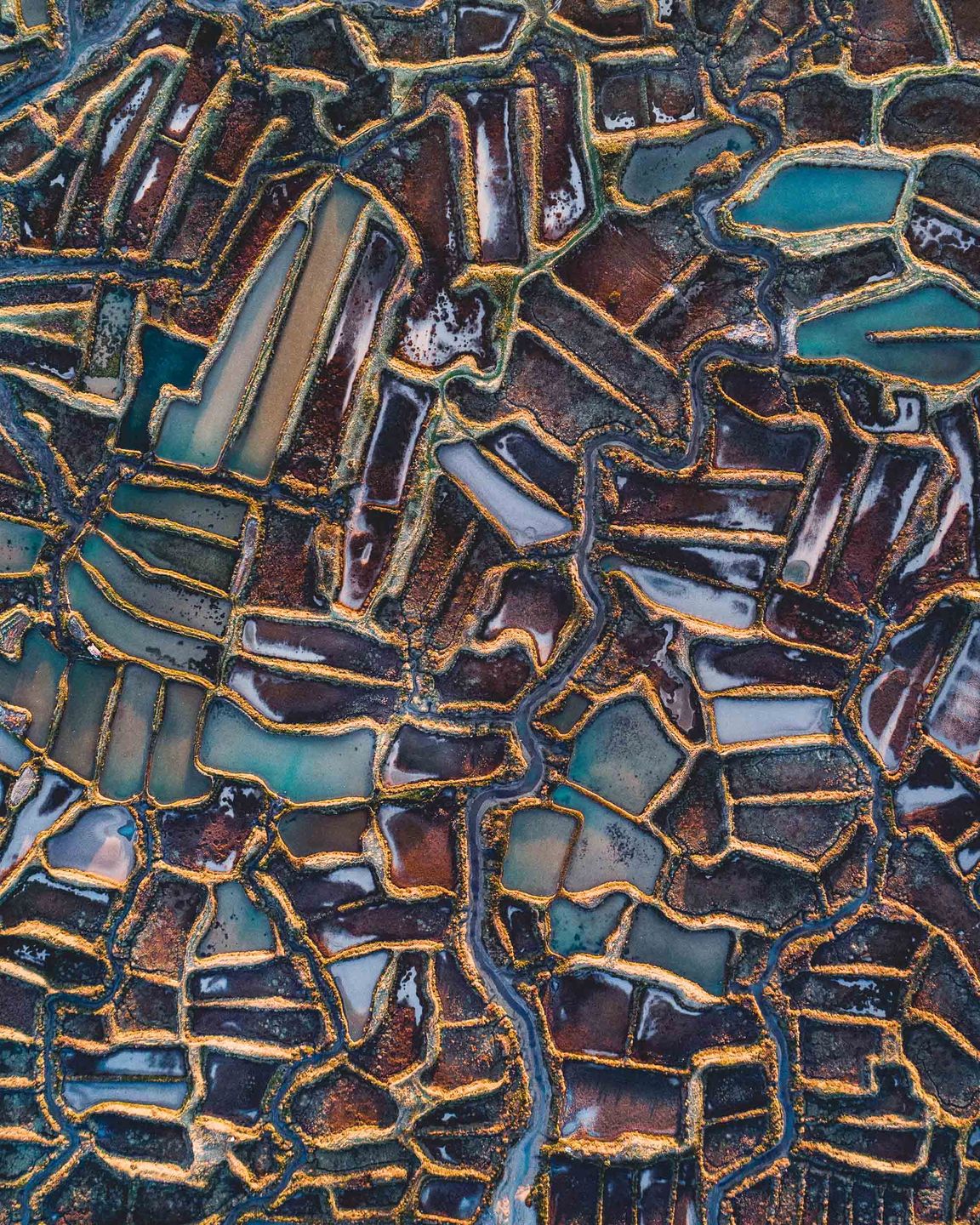 Abstract Aerial Art: “Chcemy pokazać, jak dziwacznie piękny jest świat” 12