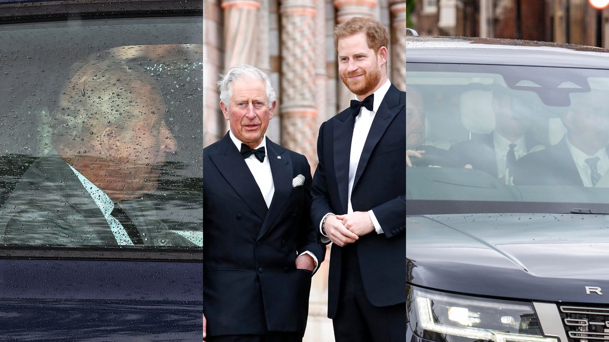 Książę Harry i król Karol III w końcu się spotkali