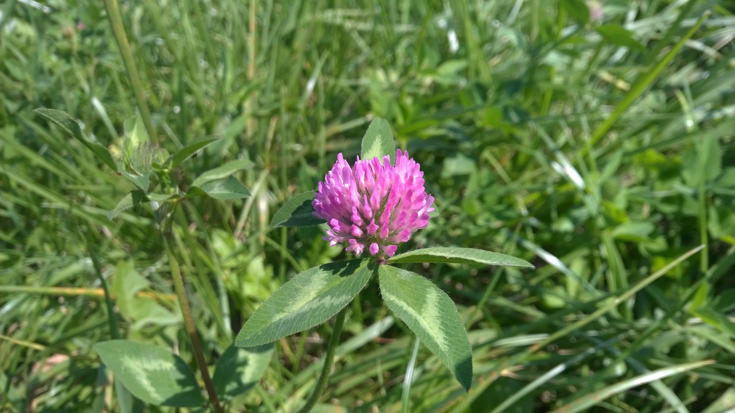 Nokia Lumia 930 – piękna, potężna i… zniechęcająca [test] 45