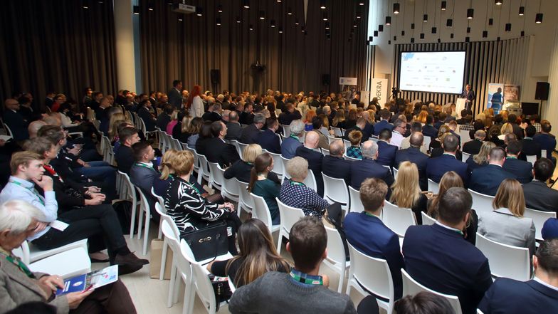 Co zdominuje motoryzację. Nowe prawo czy trendy?