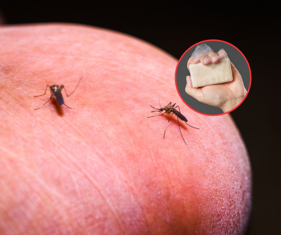 Naukowcy mają dowody. Wystarczy zmienić mydło