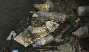 Ogromna ilość plastiku w morzach i oceanach. Ekolodzy z WWF alarmują i apelują do ONZ