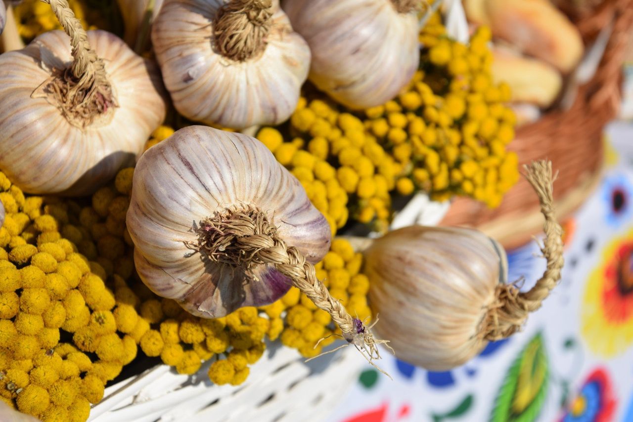 Czosnek nie zawsze zdrowy? Sprawdź, kiedy może zaszkodzić
