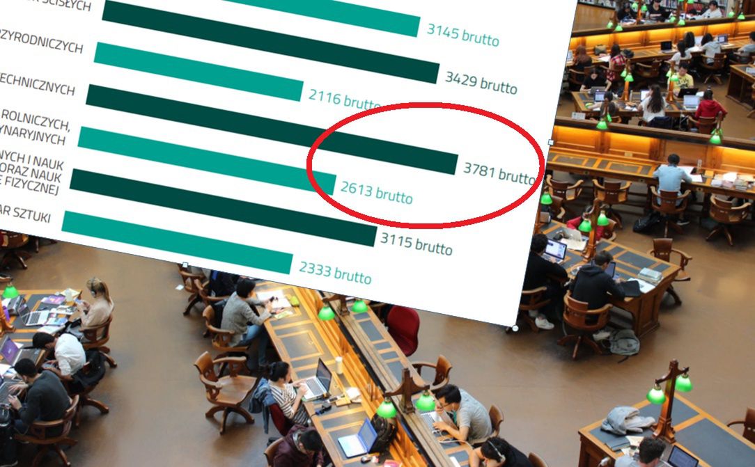 Portfel absolwenta. Po tych studiach zarabia się najwięcej