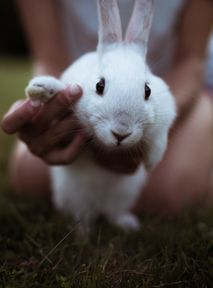 Rzeź króliczków i samoukrzyżowanie. Nietypowe zwyczaje wielkanocne na świecie 😲