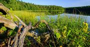 Jezioro Jasne, czyli najbardziej przejrzyste jezioro w Polsce. Jak do niego dojechać?