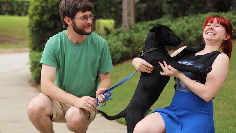 Nazywasz swojego psa "psieckiem"? Oto wytłumaczenie