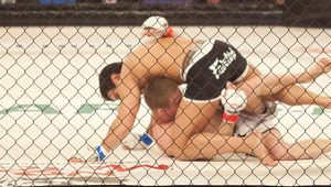 MMA: Porażki Polaków na gali w Szwecji