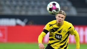 Transfery. Media: Cena za Erlinga Haalanda została ustalona. Kwota nie robi wrażenia