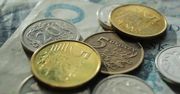 Rząd zdecyduje się na niższy VAT? "Jeśli będzie taka potrzeba..."