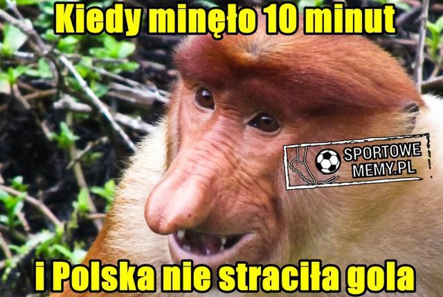 Polska-Senegal memy
