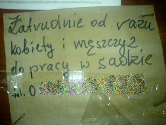 Obraz