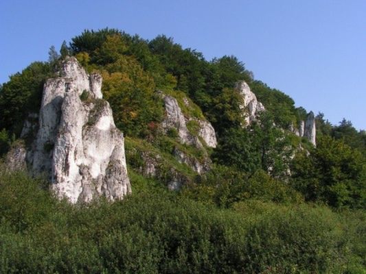 Obraz