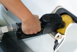 Czy warto tankować biodiesel?