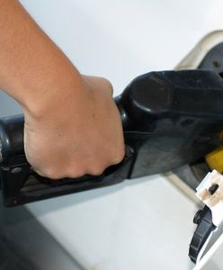 Czy warto tankować biodiesel?