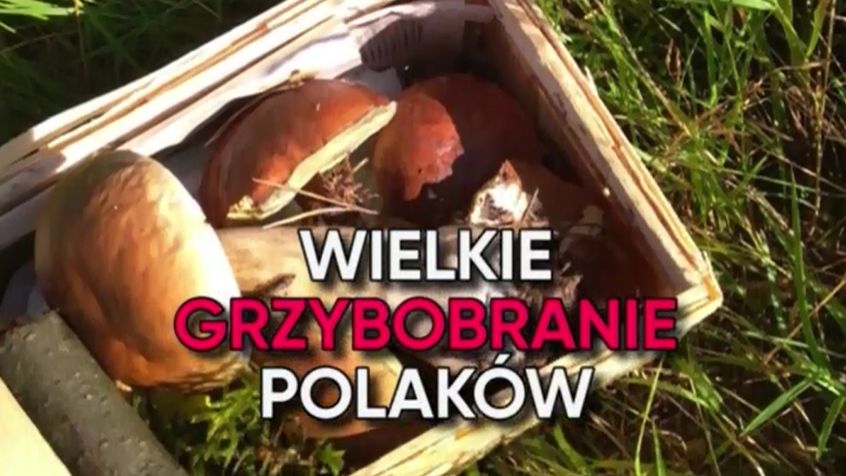 Polacy lubią chwalić się swoimi zdobyczami 