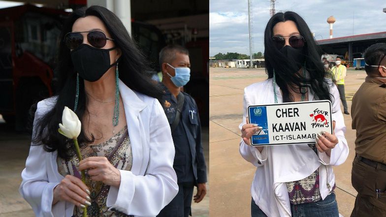 Wiecznie młoda Cher pomaga transportować "najbardziej samotnego słonia świata" do Kambodży (ZDJĘCIA)