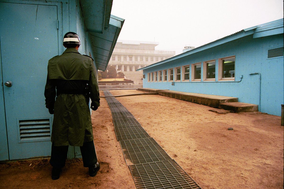 Kilkanaście pasożytów w ciele żołnierza, który uciekł z Korei Północnej