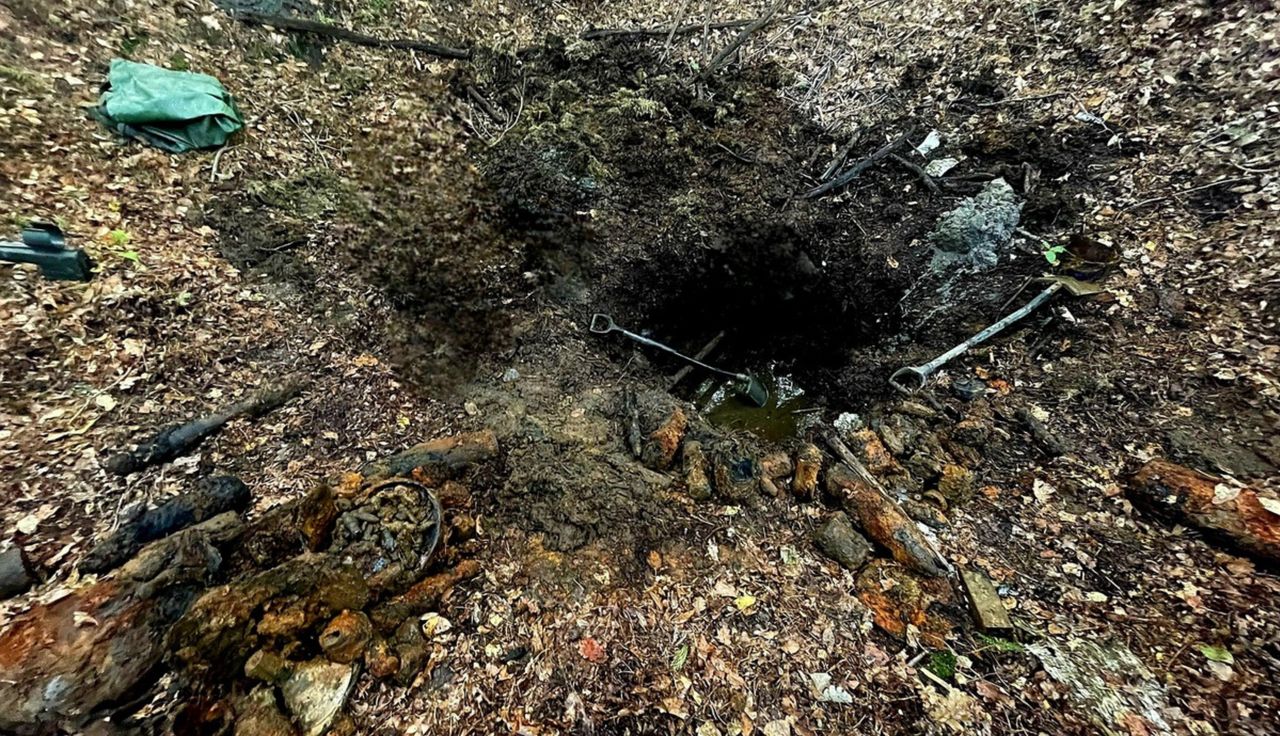 Poszedł na spacer. I nagle taki widok. Natychmiast wezwał służby